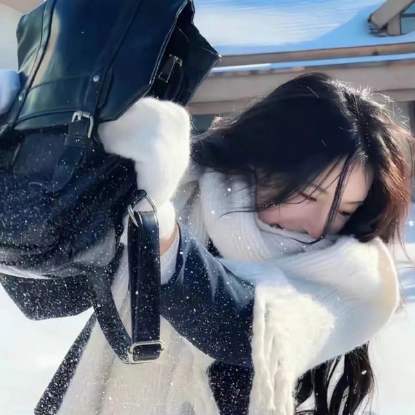 殡之森封面