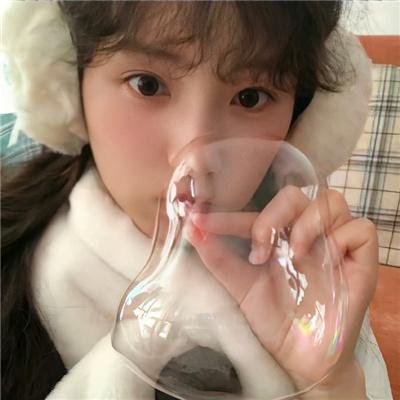 落在香杉树的雪花封面